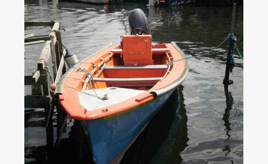 yole dracius 6, 98