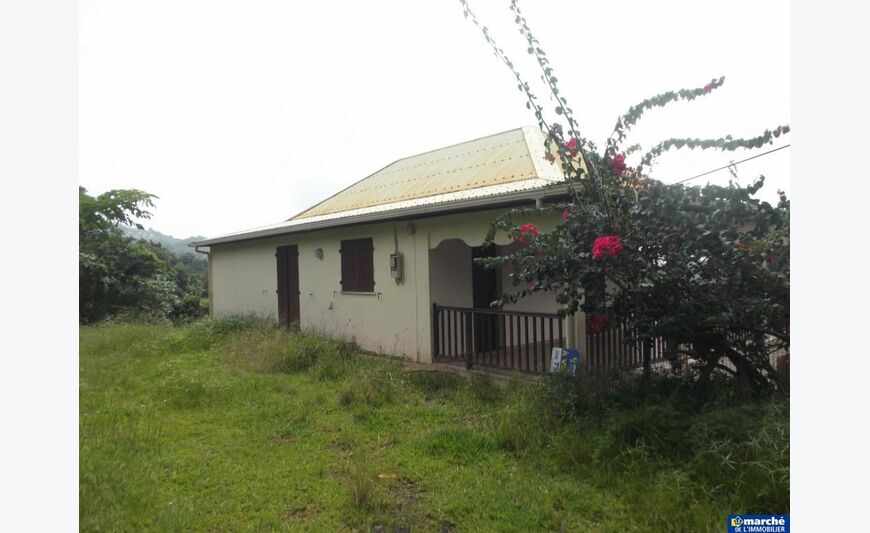 Haut de villa Fond brûlé'amalia'Le.
