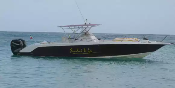 bateau donzi 35 2 fois 300cv