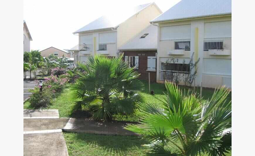 T3 Baie Mahault ibis