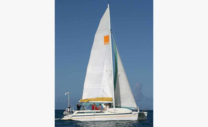 Edel cat 35 open