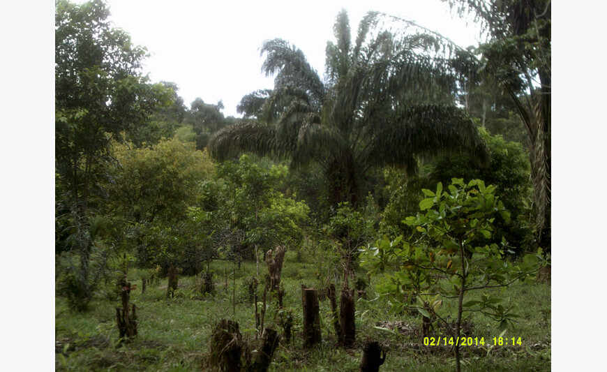 terras agrícolas