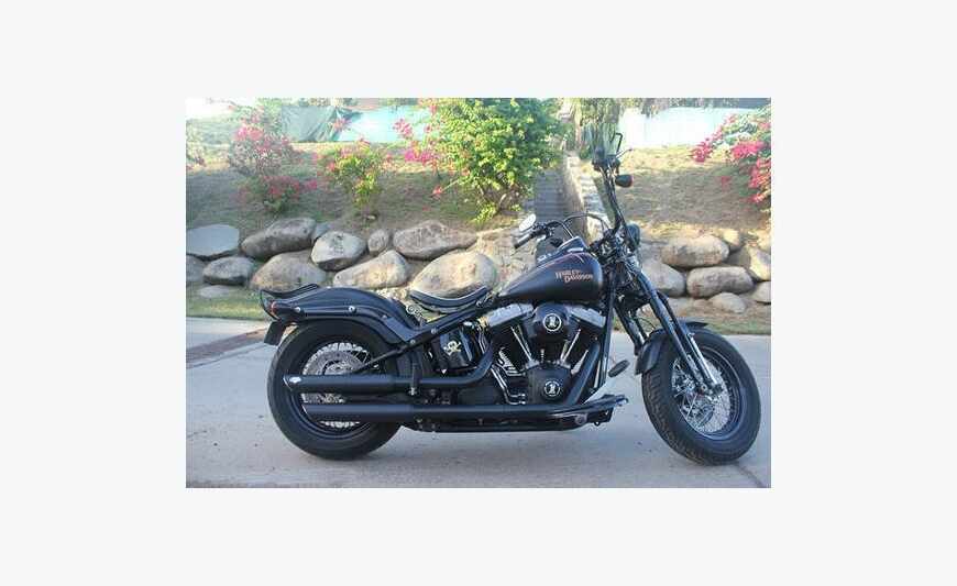 Harley davidson cross bones