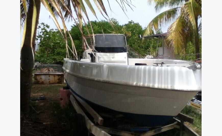 Bateau SELVA 5. 5m + remorque + Johnson 90cv 2T