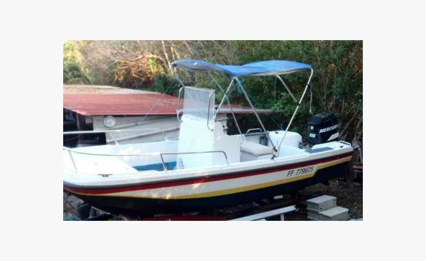 Bateau Boston REGENT 17, 115cv Mercury Autolub