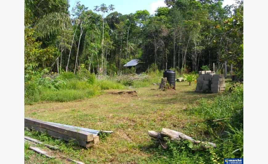 Terrain Mana Javouhey 2 Hectares