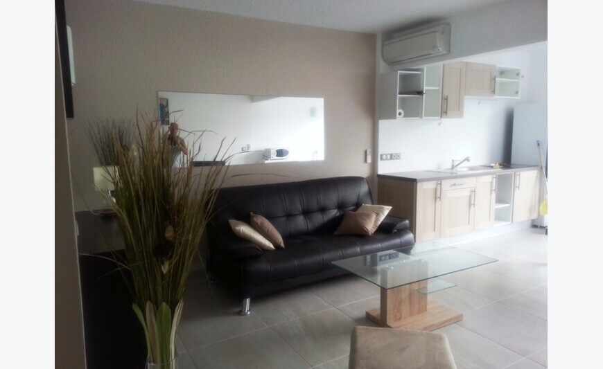 Nettle Bay: T1 bis furnished renovated in DRC