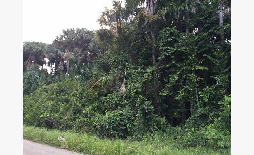 Terrain Constructible 8000m2 Remire -.