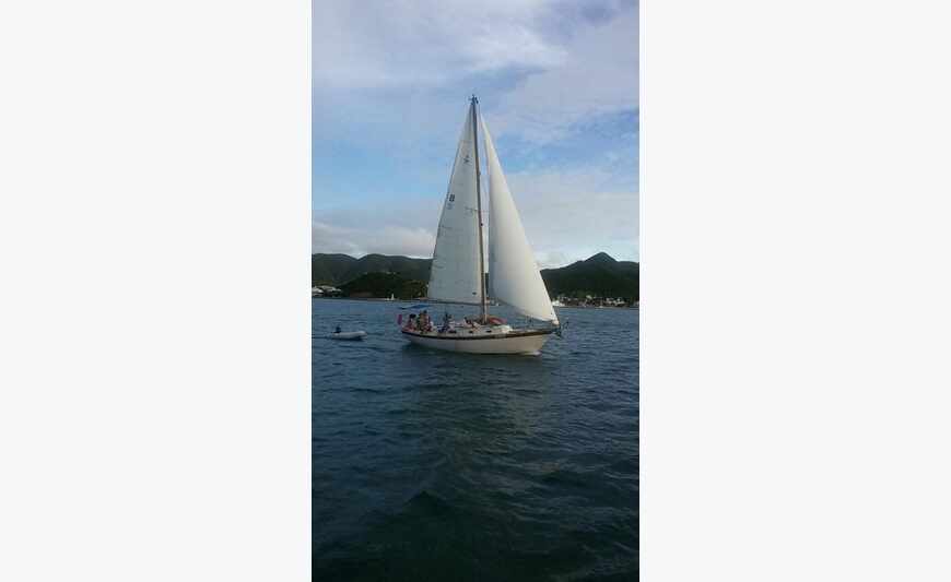 Niagara 35 ft sailboat