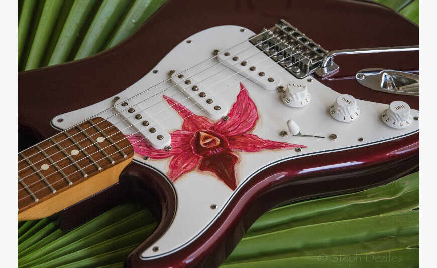 guitare gauche fender stratocaster mexique de 2007