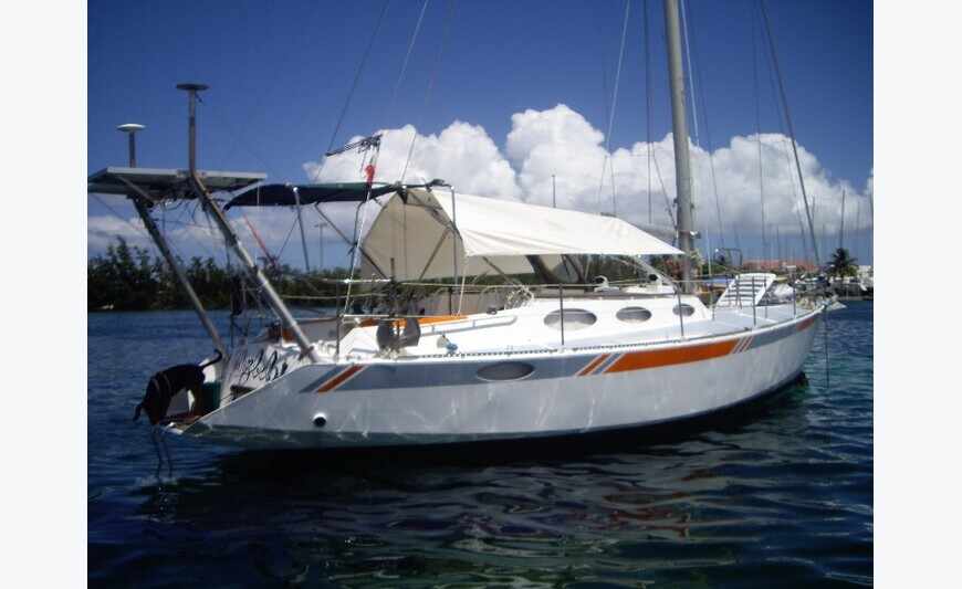 voilier ile disco 36 mod: boschi
