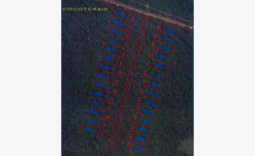 Terrain agricole à Iracoubo