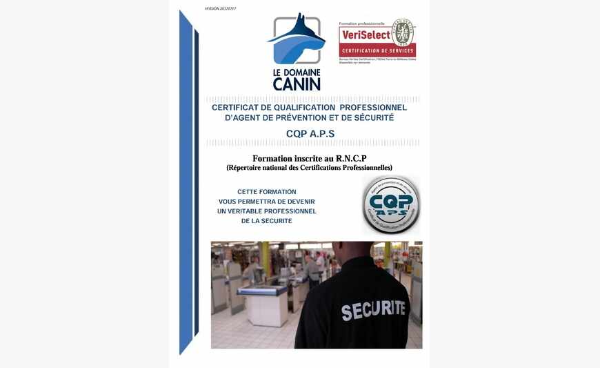 cqp agent de prÉvention et de sÉcuritÉ