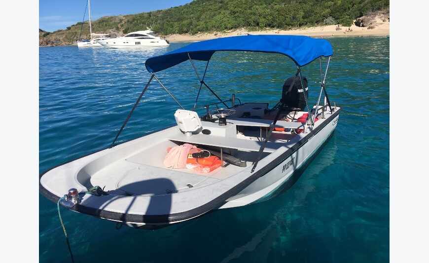 Boston Whaler 15 Guardian