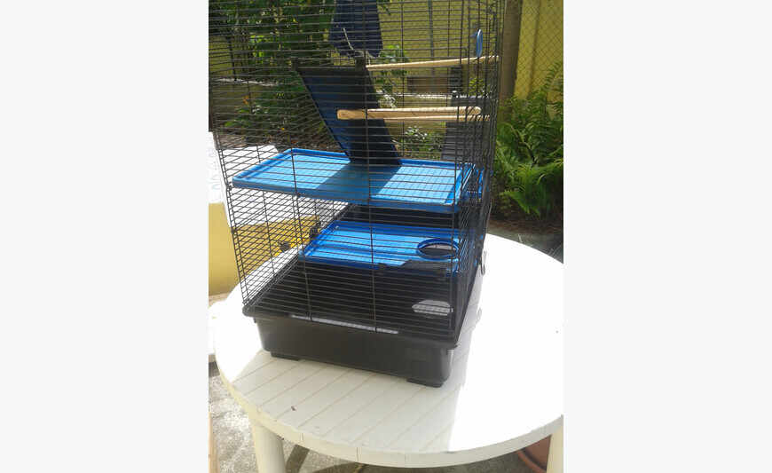 Cage avec 2 perruches