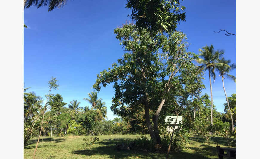 20 minutos de finca Santo Domingo