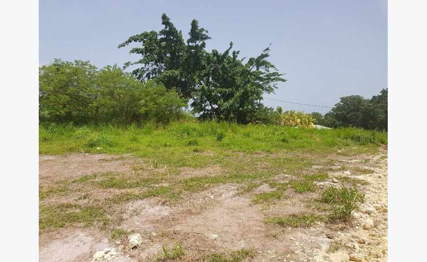 Sainte Rose - Terrain 1000 m² avec...