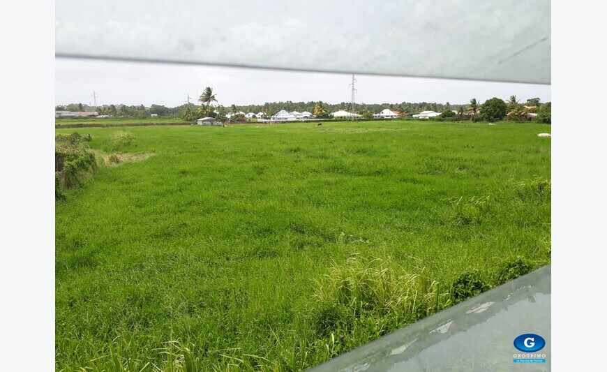 Programme neuf Résidence Maracuja -.