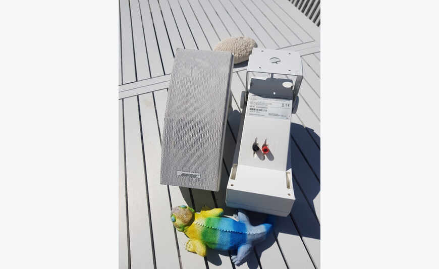 Enceintes d'extérieur Bose® 251
