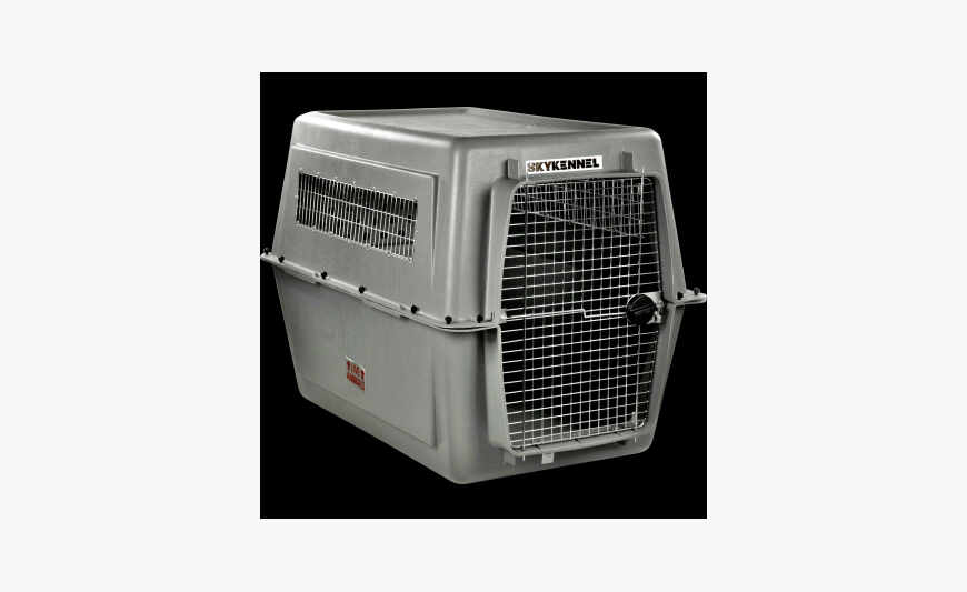 cage de transport chien xxl