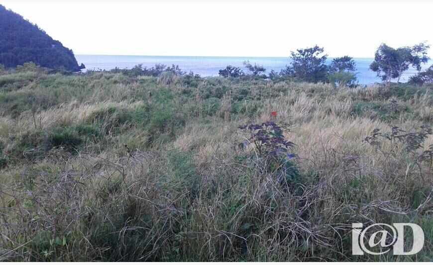 Terrain 907 m²