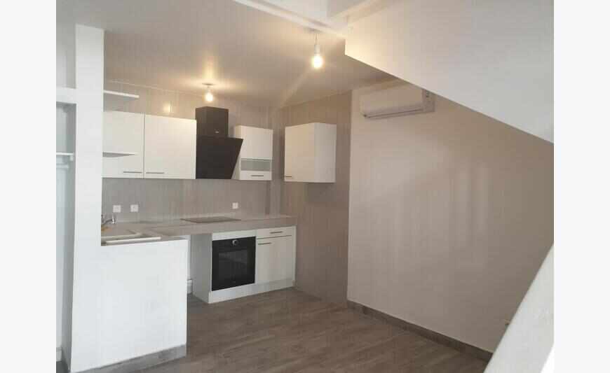 Duplex entièrement rénové en plein...