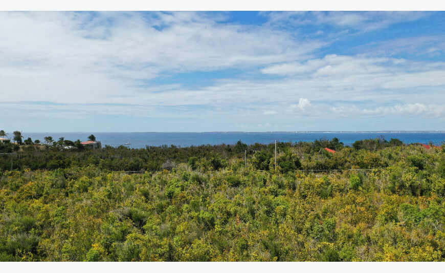 LOW LANDS - LAND for SALE - 14 000 M2