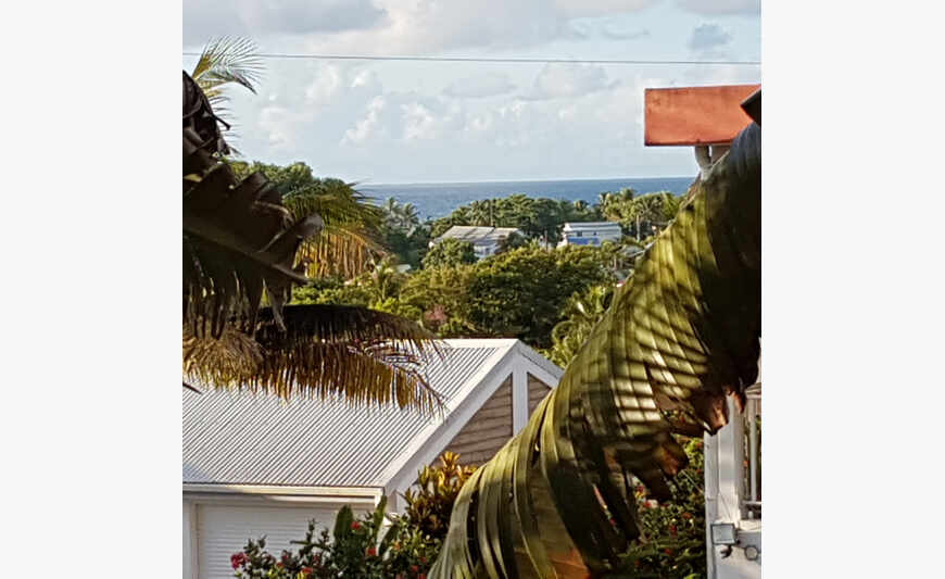 studio climatisé meublés sur jardin et piscine