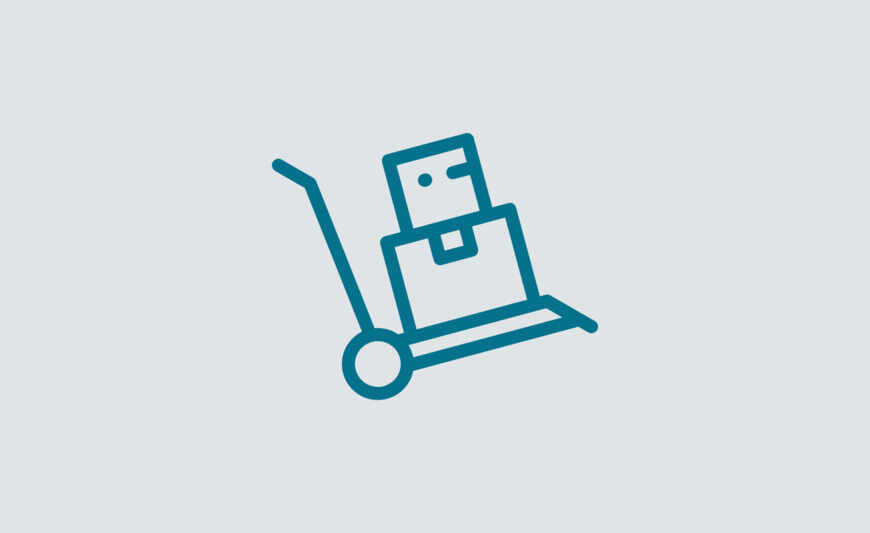 Déménageur professionnel / Déménageuse professionnelle