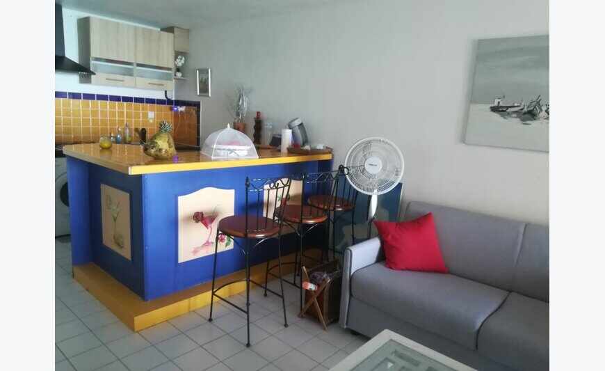 Grand Appartement Traversant En Duplex