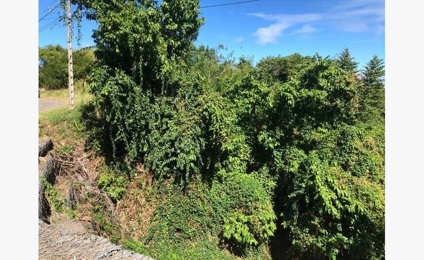Le Robert Terrain de 6 366,00 m²