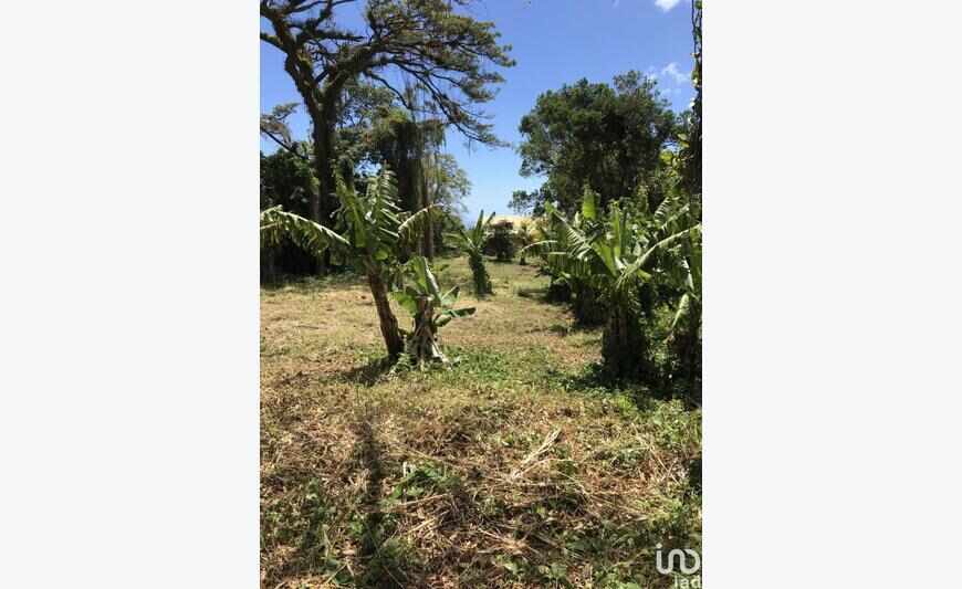 Terrain 2 407 m²