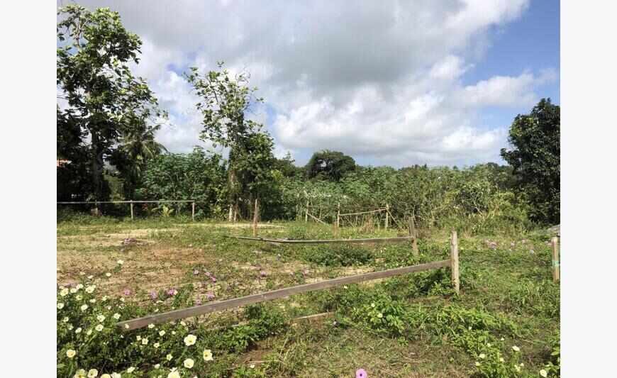 Baie-Mahault - Terrain plat 1033 m2