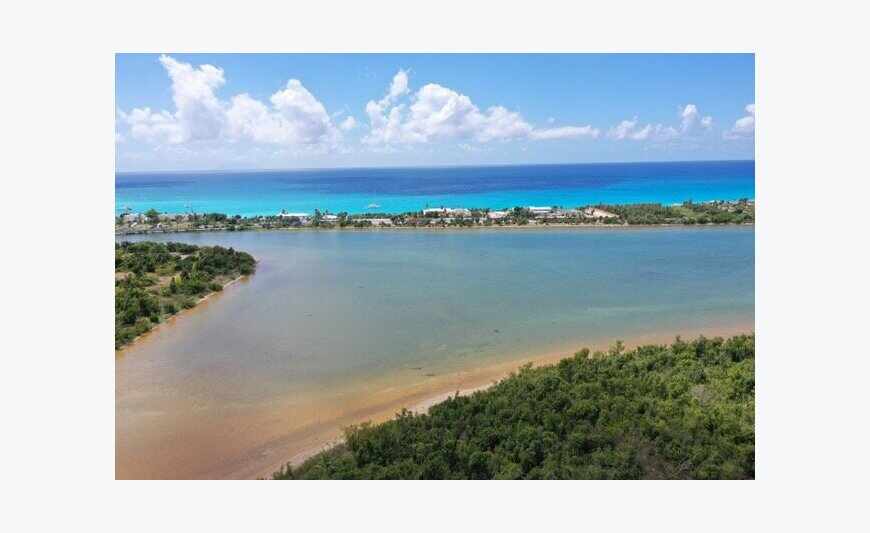 Low land: Land 10, 000 sq. m