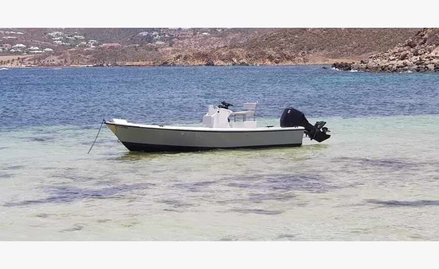 Boat 6m with engine mercury 90 horses