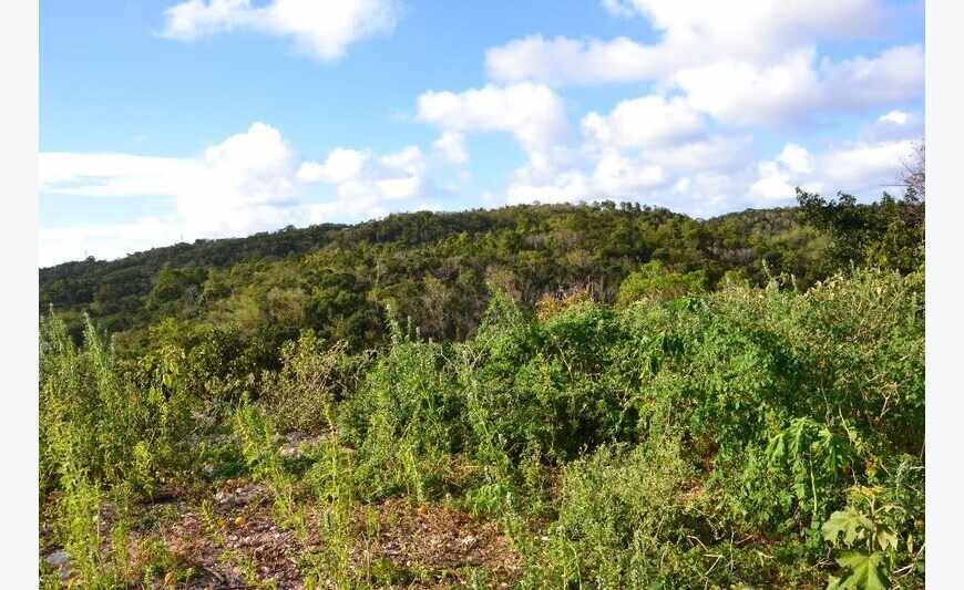terrain