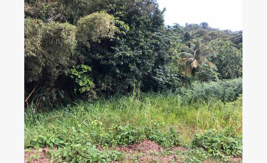 Le Robert Terrain de 766,00 m²