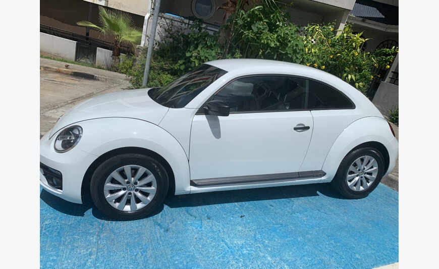 new beetle blanche