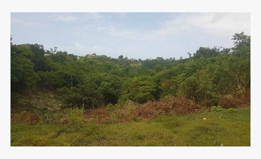 Terrain de 1000m2 à Gosier