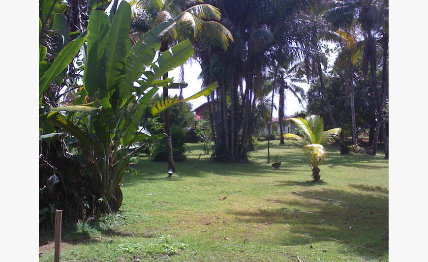 maison/villa 3 pièce(s) 60 m2