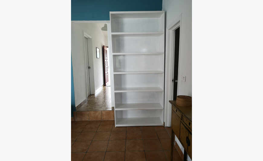 Large white pine library