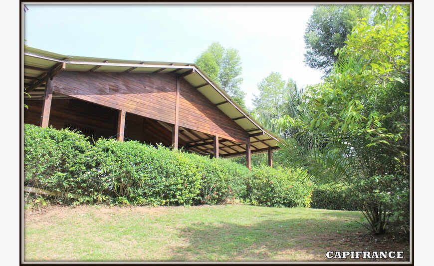 A Roura (Guyane Française) Une Jolie...