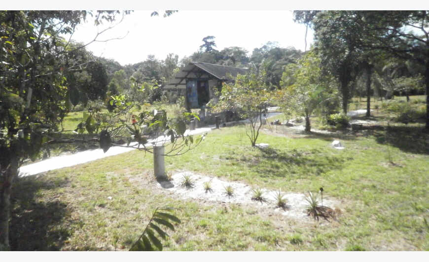 Terrain agricole aménagé de 1,2 hectare