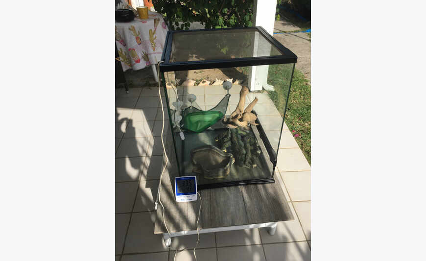 Loft pour Serpent + accessoires