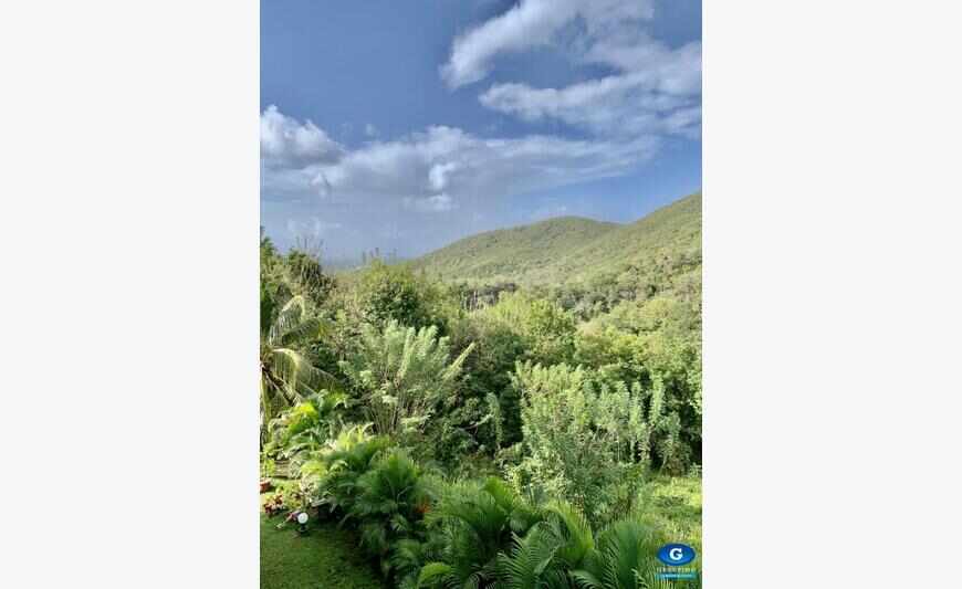 Appartement - Quartier Deville - Sainte...