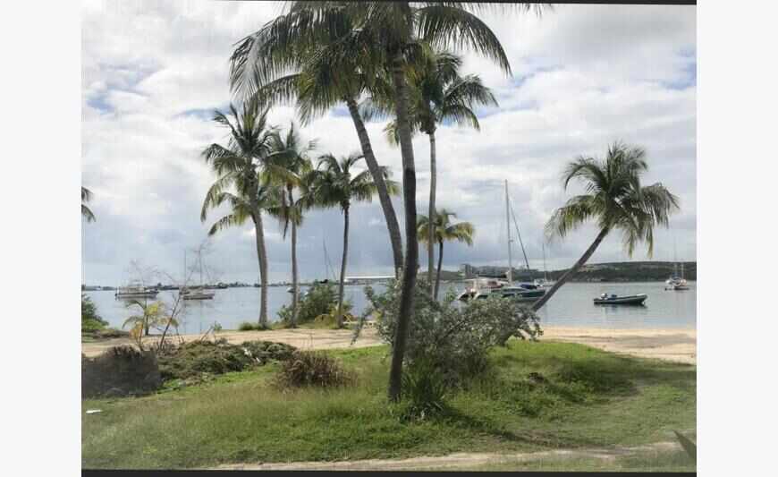 Studio - Baie Nettle