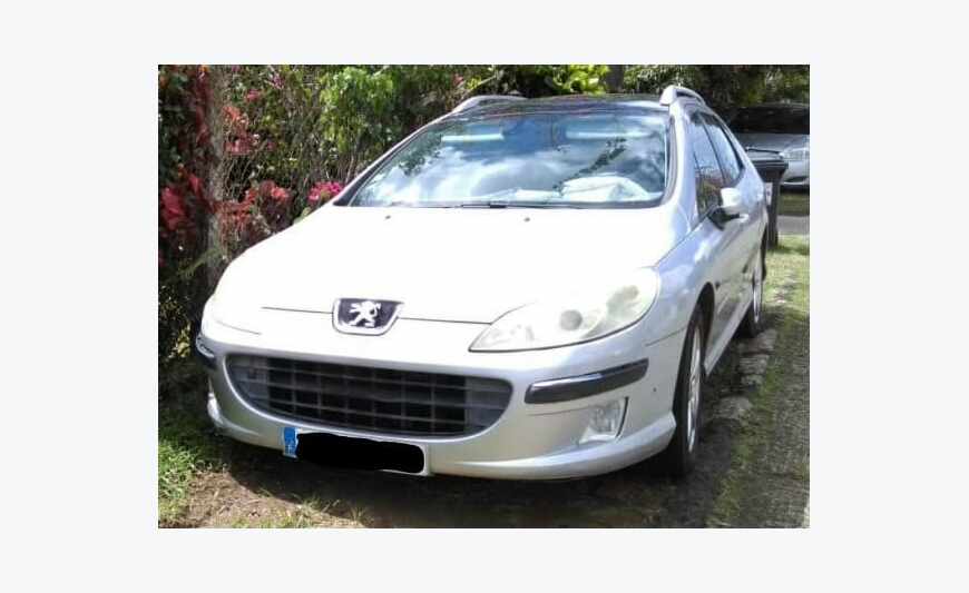 407 SW 2.0 HDI 16v 140 ch FAP