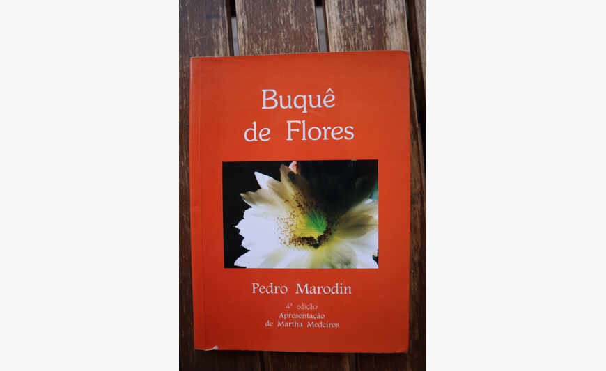 Livres en portugais