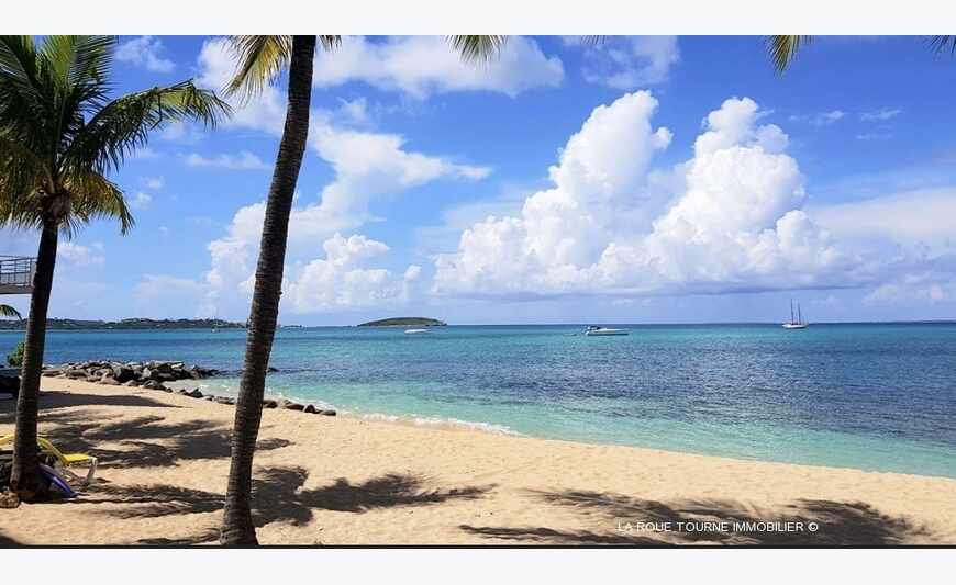 Studio Face Sea (SOUS COMPROMIS)