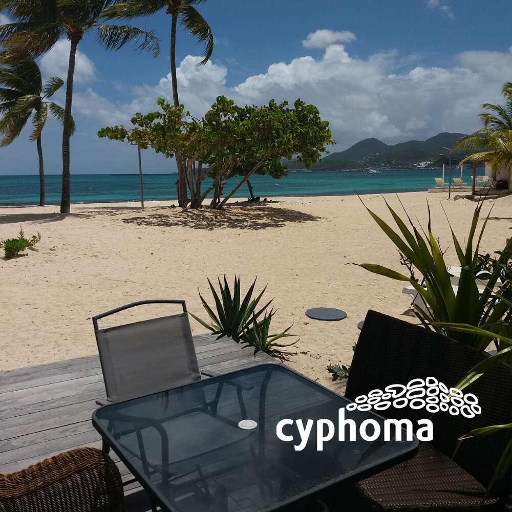 APPARTEMENT ON THE BEACH